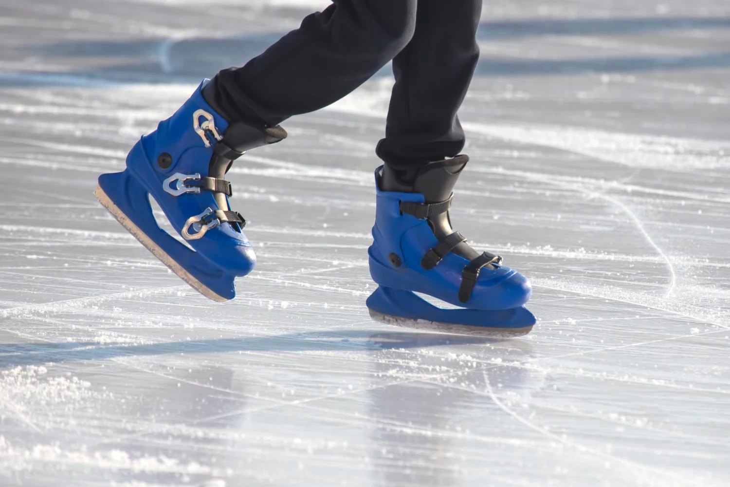 la-pista-de-hielo-alegria-live-6